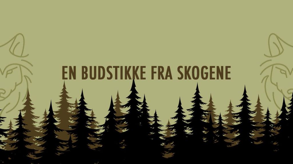 Fakkeltog for en demokratisk ulveforvaltning